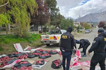 Secuestran carne de guanaco y de puma